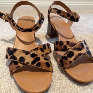 Brand new J.Crew Cheetah print sandal